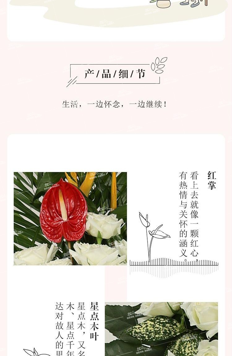 双层花架（白玫瑰）