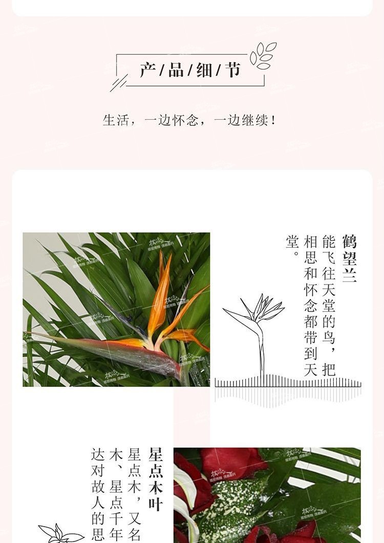 双层花架（红玫瑰）