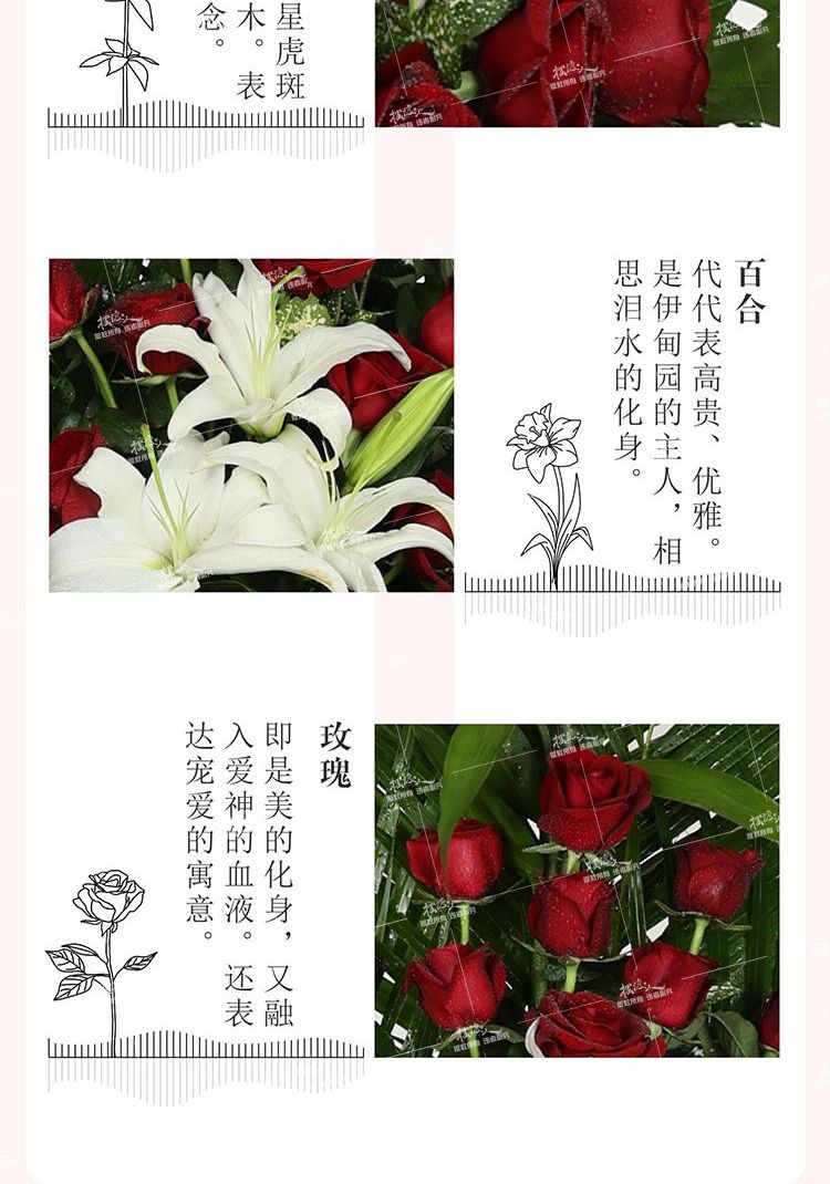 双层花架（红玫瑰）